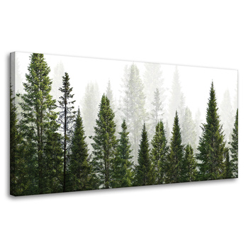 Obraz na płótnie Deszczowy Las Natura Drzewa 80x40 cm