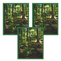 3x Rama Zielona 40x50, I L13,15,025, Plexi