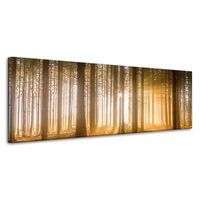 Obraz na płótnie Słońce w Lesie Światło Drzewa 120x40 cm