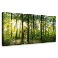 Obraz na płótnie Słońce Las Drzewa Promienie Światła 80x40 cm