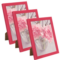 3x Fotorama Amarantowa 18x24, I L13,15,056, amarant plexi