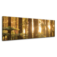 Obraz na płótnie Promienie Słońca Las Drzewa  120x40 cm