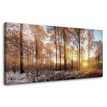 Obraz na płótnie Drzewa Zima Wschodzące Słońce 80x40 cm