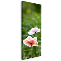 Obraz na płótnie Botanika Kwiaty maku 40x120 cm