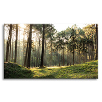 Obraz na płótnie Las Drzewa Słońce Natura 120x80 cm