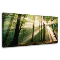 Obraz na płótnie Słońce w Lesie Drzewa Natura 80x40 cm