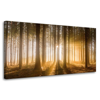 Obraz na płótnie Słońce w Lesie Światło Drzewa 80x40 cm