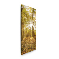 Obraz na płótnie Słońce między Drzewami w Lesie 40x120 cm
