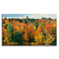 Obraz na płótnie Kolorowe Liście Drzewa Jesień Natura  120x80 cm
