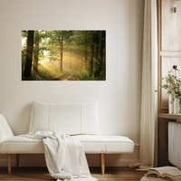 Obraz na płótnie Światło Słońca Las Ścieżka Natura 120x70 cm