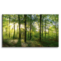 Obraz na płótnie Słońce Las Drzewa Promienie Światła 90x60 cm
