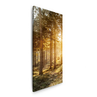 Obraz na płótnie Brzozy Drzewa Słońca Poranek 40x120 cm