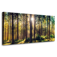Obraz na płótnie Las Słońce Drzewa Wiosna Poranek 80x40 cm