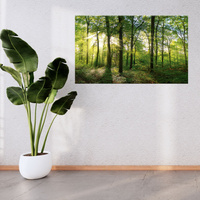 Obraz na płótnie Słońce Las Drzewa Promienie Światła 120x70 cm