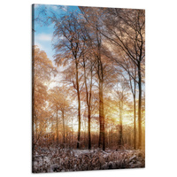 Obraz na płótnie Drzewa Zima Wschodzące Słońce 60x90 cm