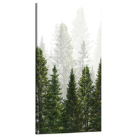 Obraz na płótnie Deszczowy Las Natura Drzewa 60x120 cm