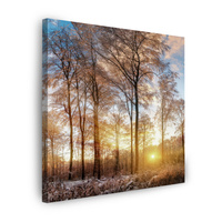 Obraz na płótnie Drzewa Zima Wschodzące Słońce  60X60 cm
