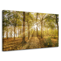 Obraz na płótnie Słońce między Drzewami w Lesie 100x60 cm
