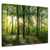 Obraz na płótnie Słońce Las Drzewa Promienie Światła 100x80 cm