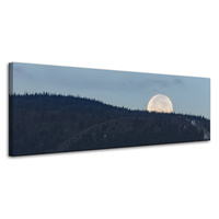 Obraz na płótnie Natura Wschodzący księżyc 120x40