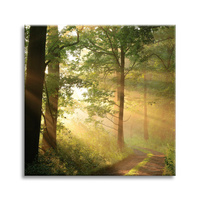 Obraz na płótnie Światło Słońca Las Ścieżka Natura 60X60 cm
