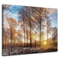 Obraz na płótnie Drzewa Zima Wschodzące Słońce 100x80 cm