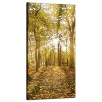 Obraz na płótnie Słońce między Drzewami w Lesie 40x80 cm