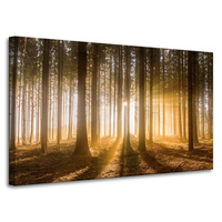 Obraz na płótnie Słońce w Lesie Światło Drzewa 100x60 cm