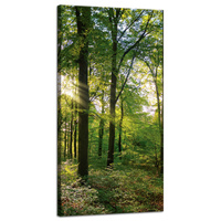 Obraz na płótnie Słońce Las Drzewa Promienie Światła 40x80 cm