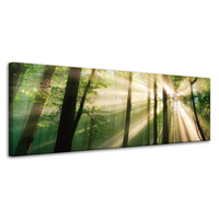Obraz na płótnie Słońce w Lesie Drzewa Natura 120x40 cm