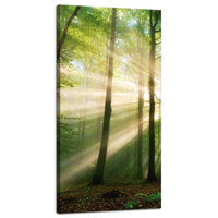 Obraz na płótnie Słońce w Lesie Drzewa Natura 40x80 cm