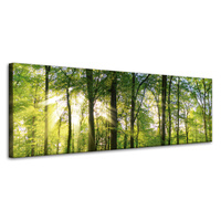 Obraz na płótnie Słońce Las Drzewa Promienie Światła 120x40 cm