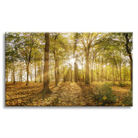 Obraz na płótnie Słońce między Drzewami w Lesie 120x80 cm